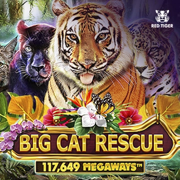 Big Cat Rescue Megaways - KISS69