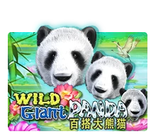 Joker123 : Wild Giant Panda - KISS69