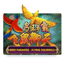 Bird Paradise - KISS69