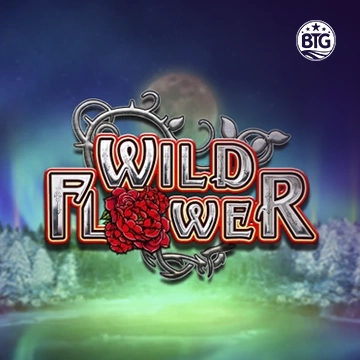 Bigtime : Wild Flower - KISS69