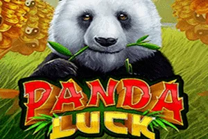 Panda Luck - KISS69