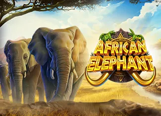 Pragmatic : African Elephant - KISS69